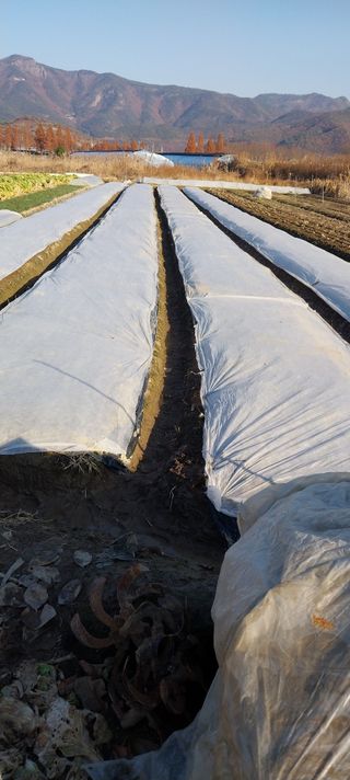 양지뜸갈비박재식님의 기타작물 · 영농일지 작성글 사진