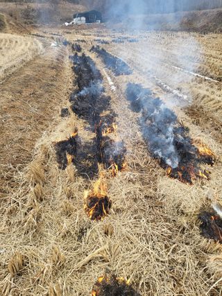 최병우님의 벼 · 영농일지 작성글 사진