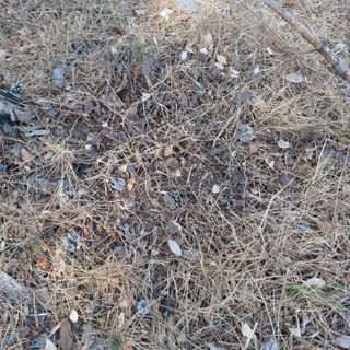 正覺님의 기타작물 · 영농일지 작성글 사진