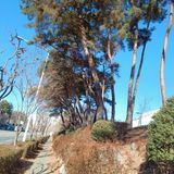 팜모닝 기타작물·영농일지 게시글 이미지