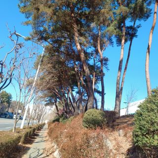 正覺님의 기타작물 · 영농일지 작성글 사진