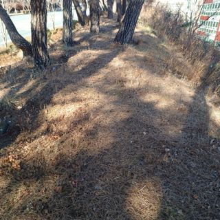 正覺님의 기타작물 · 영농일지 작성글 사진