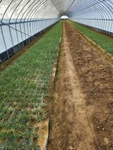 김저팔계님의 작성글 사진