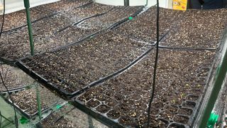 김성진님의 양배추 · 영농일지 작성글 사진