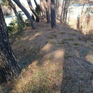 正覺님의 기타작물 · 영농일지 작성글 사진