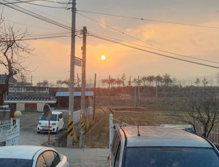 하은와송~♡♡♡~님의 기타작물 · 영농일지 작성글 사진