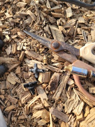 박치문님의 블루베리 · 영농일지 작성글 사진