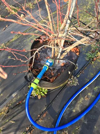 김유숙님의 기타작물 · 영농일지 작성글 사진