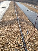 박치문님의 작성글 사진