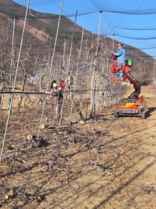 홍1237님의 사과 · 영농일지 작성글 사진