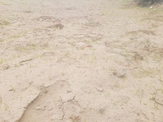 한경훈님의 기타작물 · 영농일지 작성글 사진