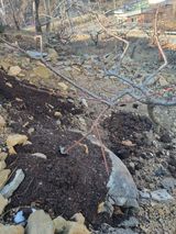 팜모닝 복숭아·영농일지 게시글 이미지