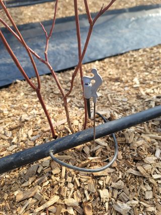 박치문님의 작성글 사진