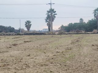 한경훈님의 기타작물 · 영농일지 작성글 사진