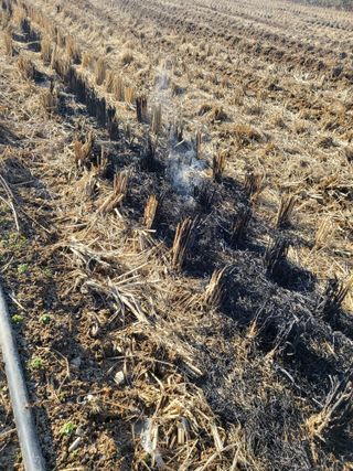 최병우님의 벼 · 영농일지 작성글 사진