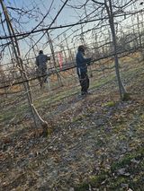 팜모닝 기타작물·영농일지 게시글 이미지