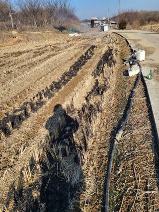 최병우님의 벼 · 영농일지 작성글 사진