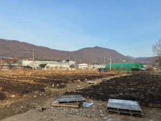 백용구님의 두릅 · 영농일지 작성글 사진