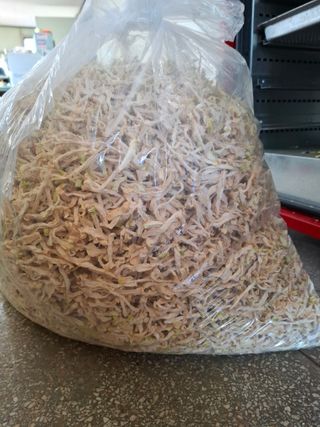 결단이님의 기타작물 · 영농일지 작성글 사진