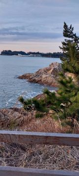 팜모닝 기타작물·영농일지 게시글 이미지