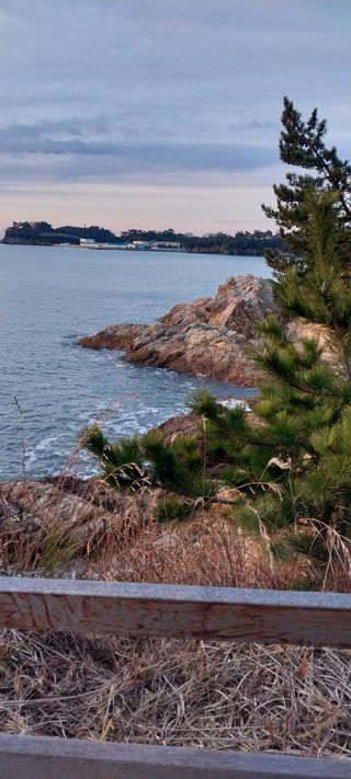 주말 텃밭 농부님의 기타작물 · 영농일지 작성글 사진