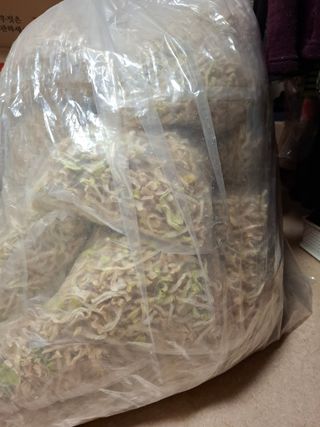 결단이님의 기타작물 · 영농일지 작성글 사진