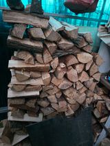 팜모닝 기타작물·영농일지 게시글 이미지