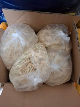 결단이님의 기타작물 · 영농일지 작성글 사진