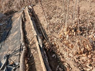 김홍중님의 기타작물 · 영농일지 작성글 사진