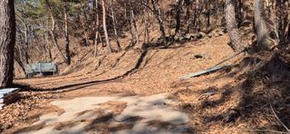 정진필님의 기타작물 · 영농일지 작성글 사진