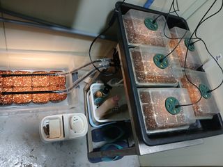 김홍중님의 기타작물 · 영농일지 작성글 사진