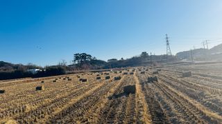 조한충님의 벼 · 영농일지 작성글 사진