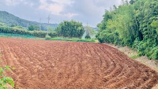 조한충님의 기타작물 · 영농일지 작성글 사진