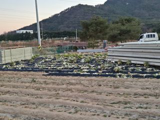 송명식님의 기타작물 · 영농일지 작성글 사진