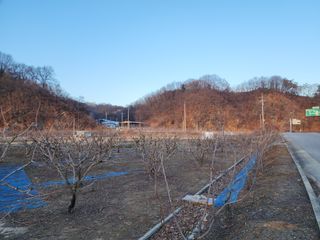 대운농원님의 기타작물 · 영농일지 작성글 사진