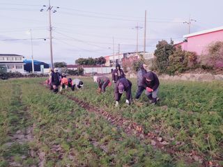 한경훈님의 기타작물 · 영농일지 작성글 사진