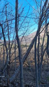 김동명님의 작성글 사진