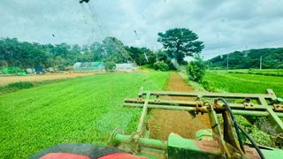 조한충님의 기타작물 · 영농일지 작성글 사진