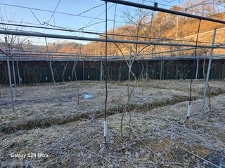 김종협님의 기타작물 · 영농일지 작성글 사진