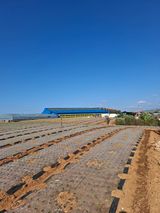 팜모닝 마늘·영농일지 게시글 이미지