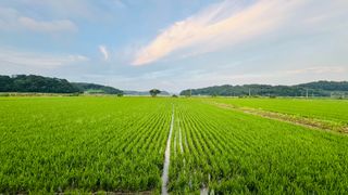 조한충님의 기타작물 · 영농일지 작성글 사진