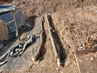 김홍중님의 기타작물 · 영농일지 작성글 사진