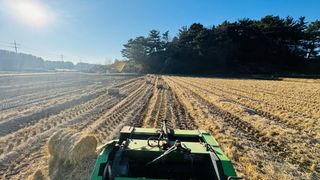 조한충님의 벼 · 영농일지 작성글 사진