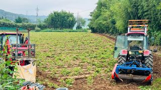 조한충님의 기타작물 · 영농일지 작성글 사진