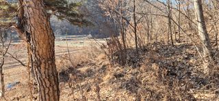 정진필님의 기타작물 · 영농일지 작성글 사진