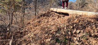 정진필님의 기타작물 · 영농일지 작성글 사진