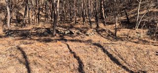 정진필님의 기타작물 · 영농일지 작성글 사진