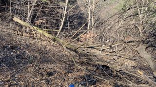 김동명님의 버섯 · 영농일지 작성글 사진