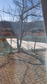 팜모닝 마늘·영농일지 게시글 이미지