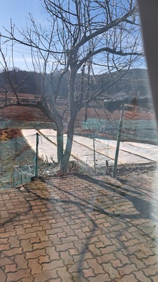 bpjh9173님의 마늘 · 영농일지 작성글 사진